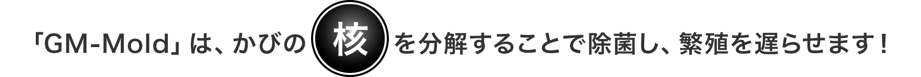 「GM-Mold」は、かびの核を分解することで除菌し、繁殖を遅らせます!
