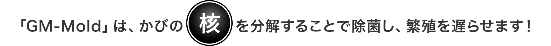 「GM-Mold」は、かびの核を分解することで除菌し、繁殖を遅らせます！